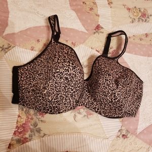 44DDD Leopard Bra